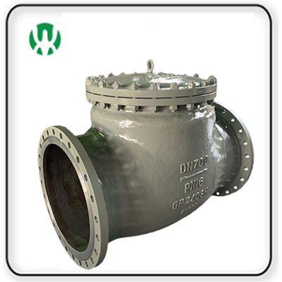 Big Size DIN Swing Check Valve