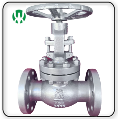 ANSI Globe Valve