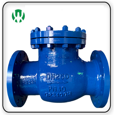 DIN Swing Check Valve