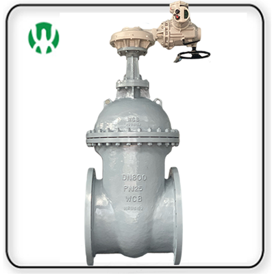 DIN &nbsp;Gate Valve With Electric Actuator
