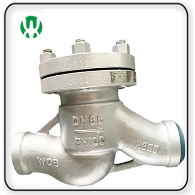 DIN WCB Lift Type Check valve