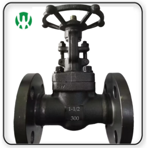 ANSI Forged Gate Valve