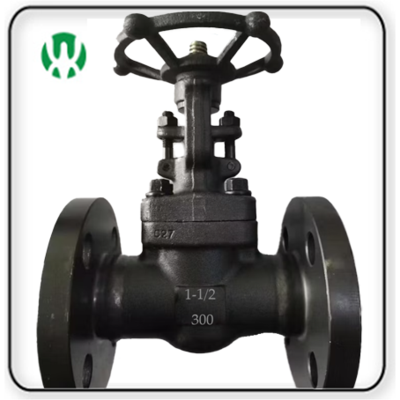 ANSI Forged Gate Valve